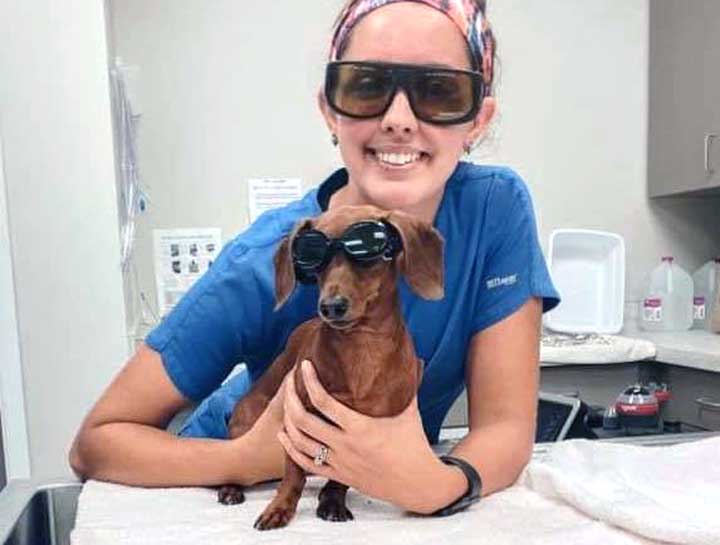 Laser Therapy for Dogs